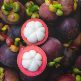 Mangosteen